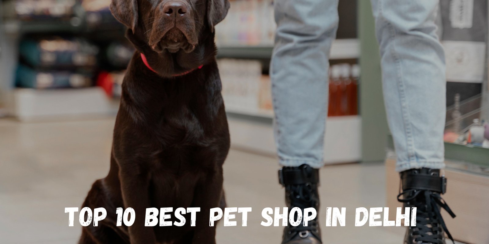 Top 10 Best&nbsp;Gym in Vile Parle