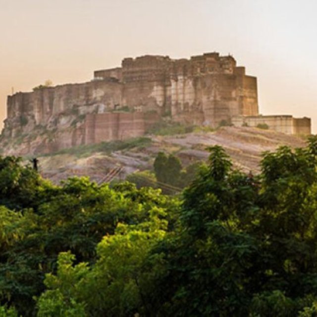 Drive India By Yogi Pvt. Tours